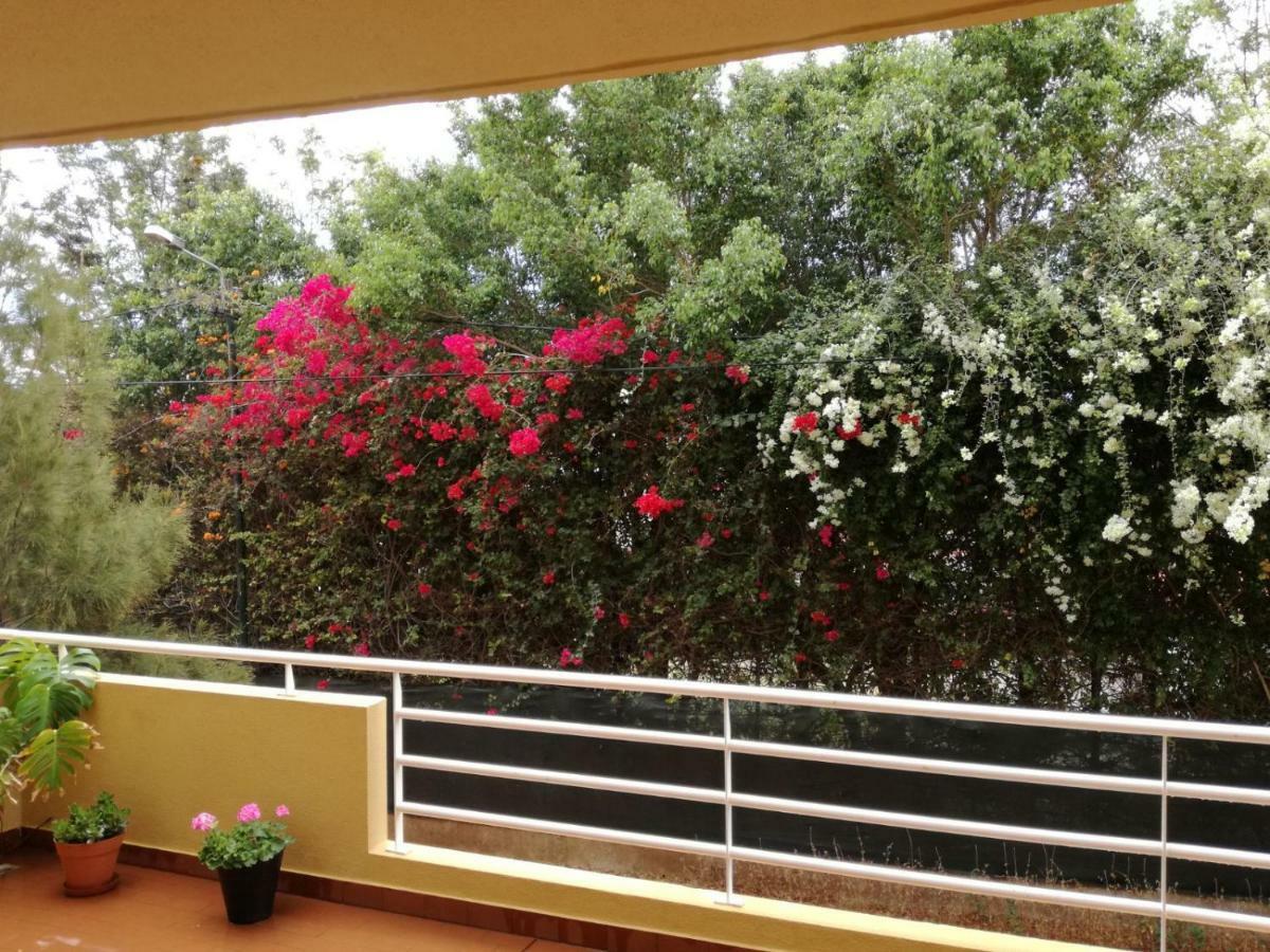 Appartement Refugio Madeira à Caniço Extérieur photo